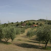 foto The Country House Montali